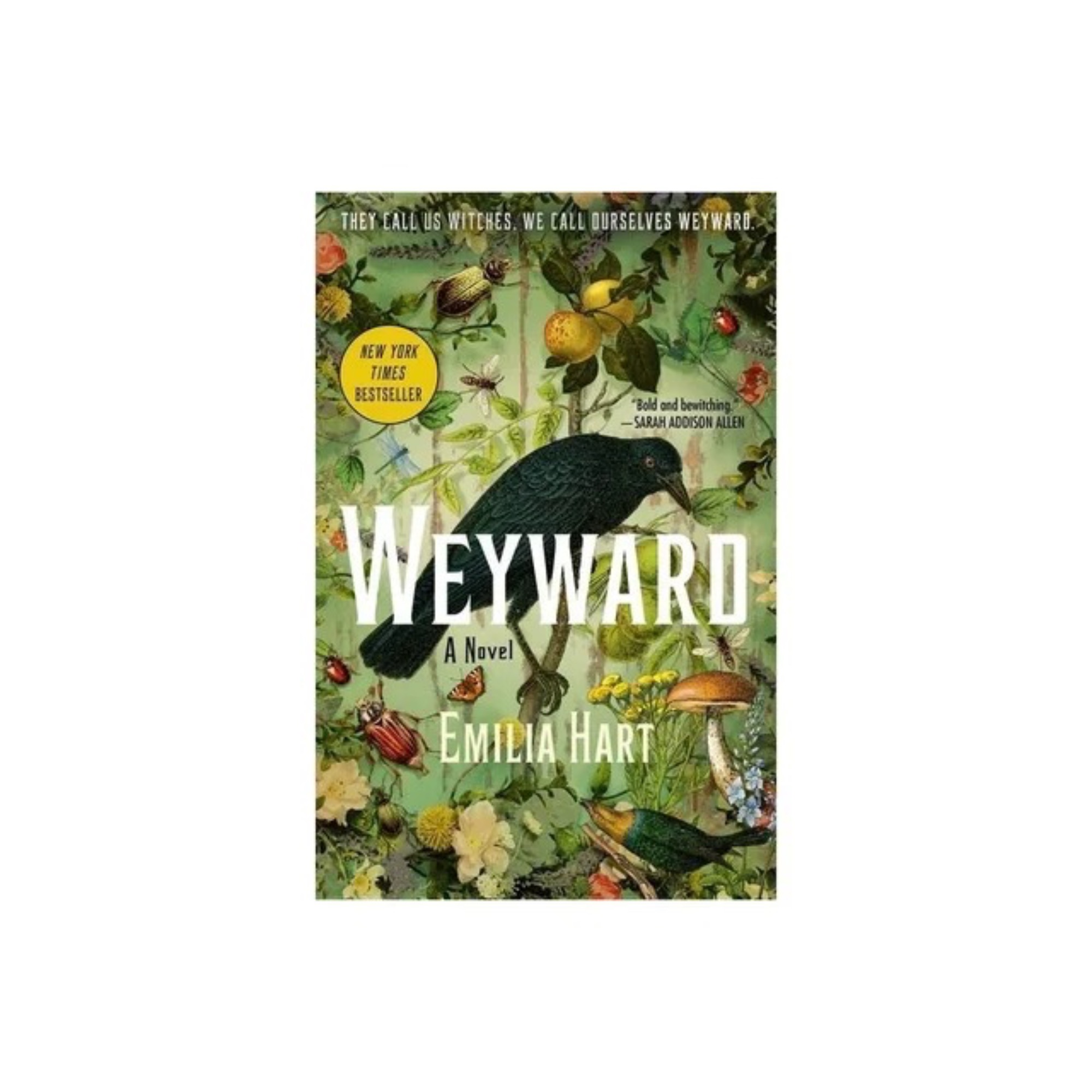 Weyward Weyward by Emilia Hart Paperback - Image 1